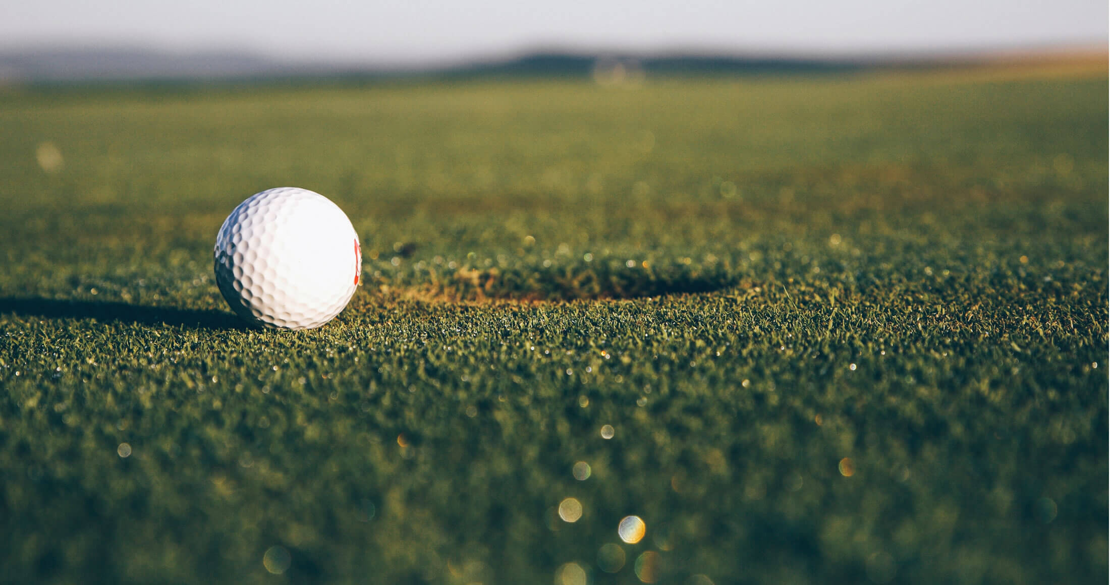 Golf ball on the green next to the cup image