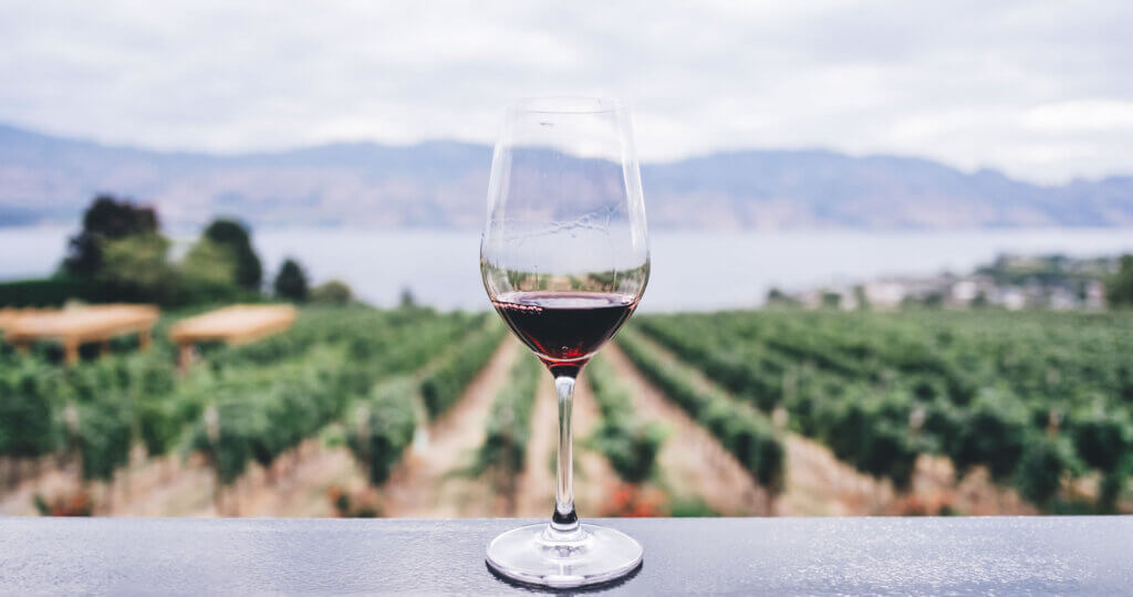 Image of a glass of wine at a winery