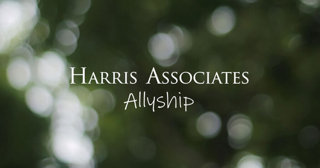 Harris Associates Allyship image